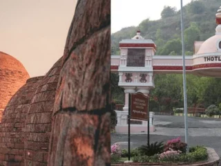 untitled design 42 2